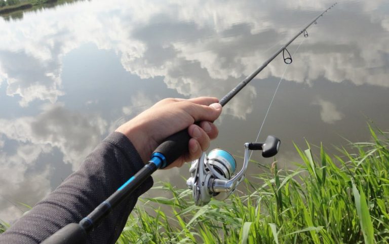 Best Rod And Reel Combo For Beginners Freshwater And Saltwater Fishing