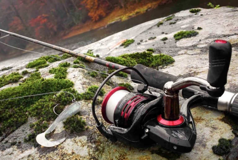 Best Spinning Reel of 2020