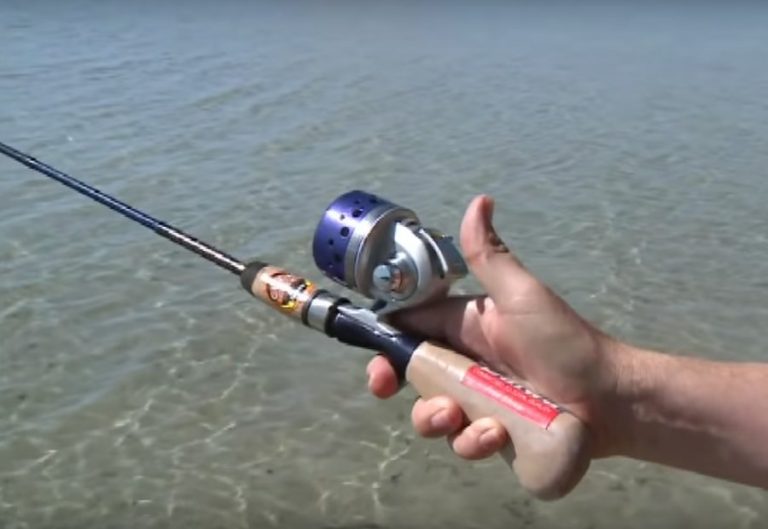 Best Spincast Reel 2020