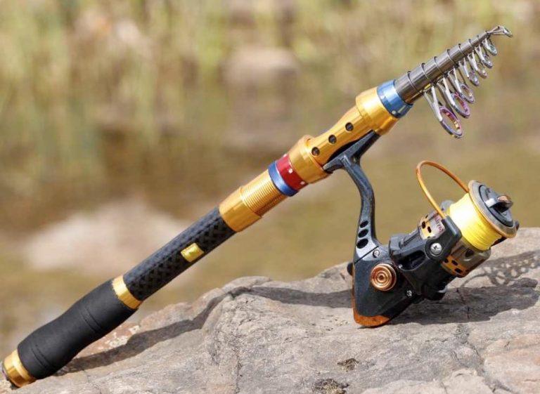 Best Collapsible Fishing Rod for Beginners